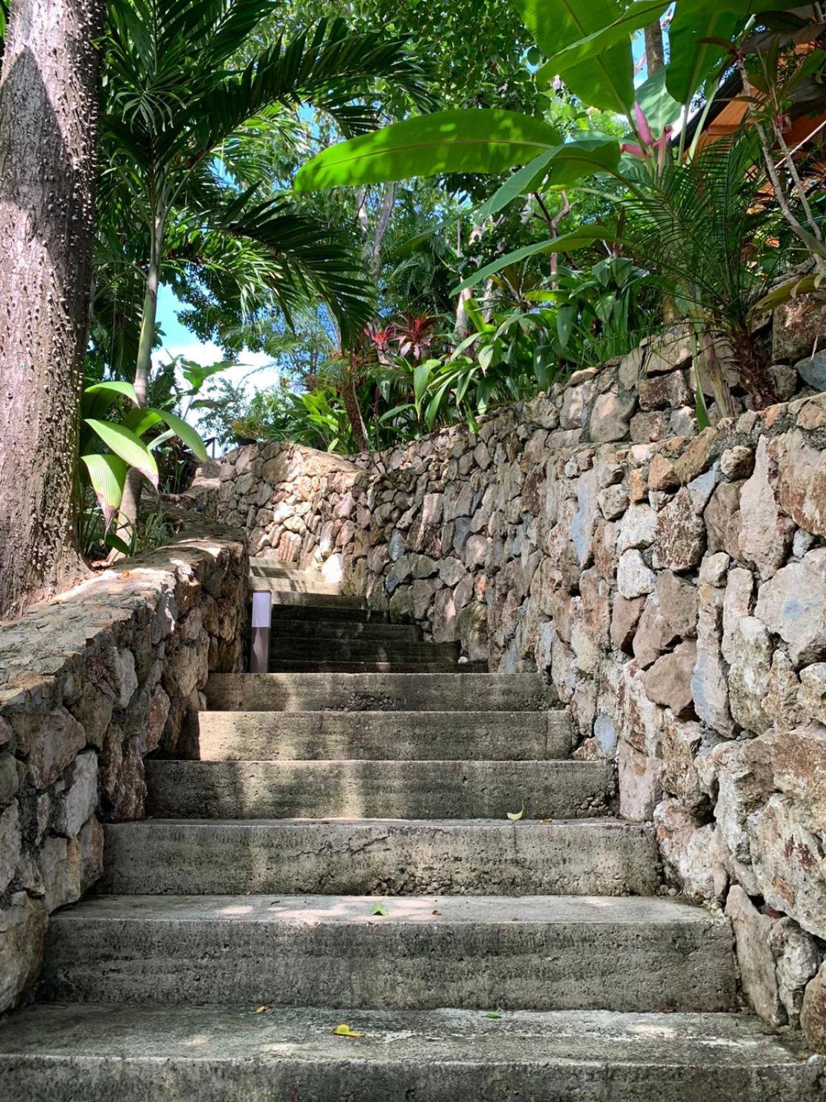 ホテル Vista Del Alma Boutique - Adult Only Playa Santa Teresa  エクステリア 写真