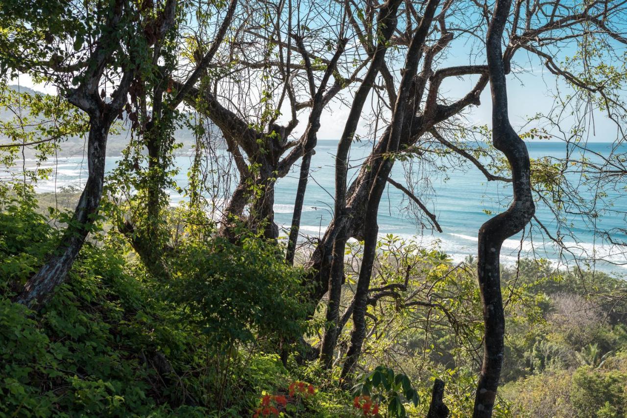 ホテル Vista Del Alma Boutique - Adult Only Playa Santa Teresa  エクステリア 写真